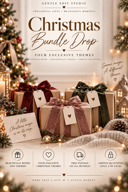 Exclusive Mystery Christmas Bundle